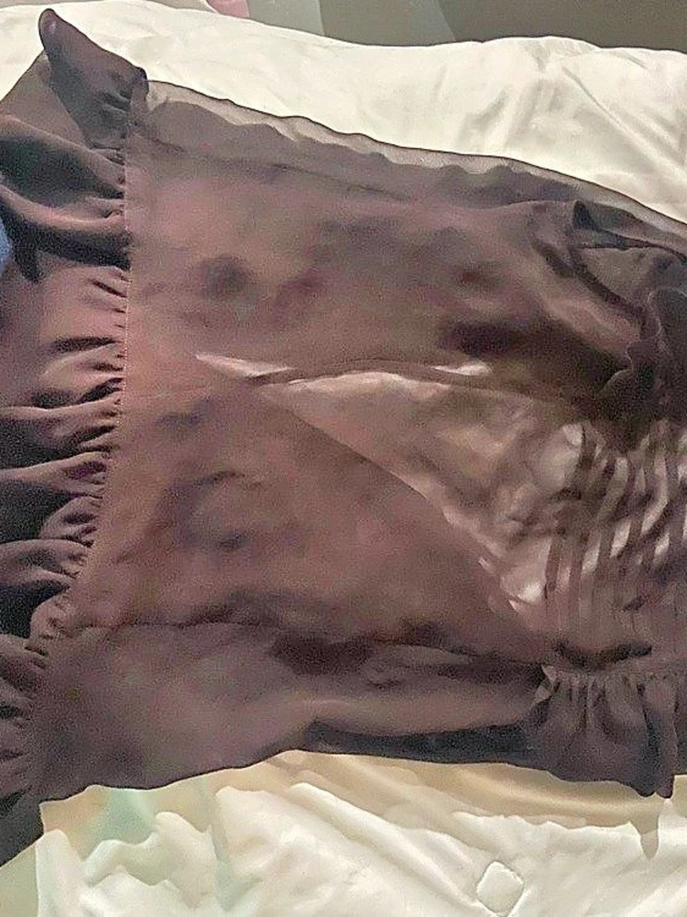 Dex Ruffled Corset Camisole in Brown Size Medium